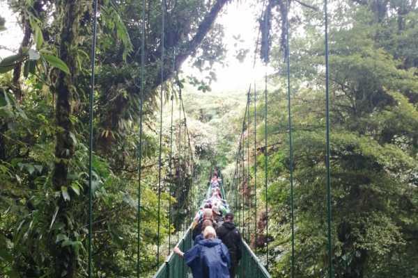 Mistico Hanging Bridges Walk 