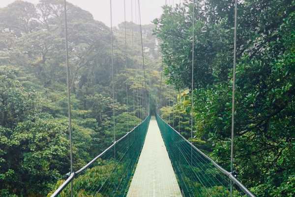 Mistico Hanging Bridges Walk 