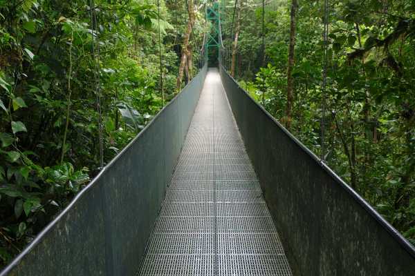 Mistico Hanging Bridges Walk 