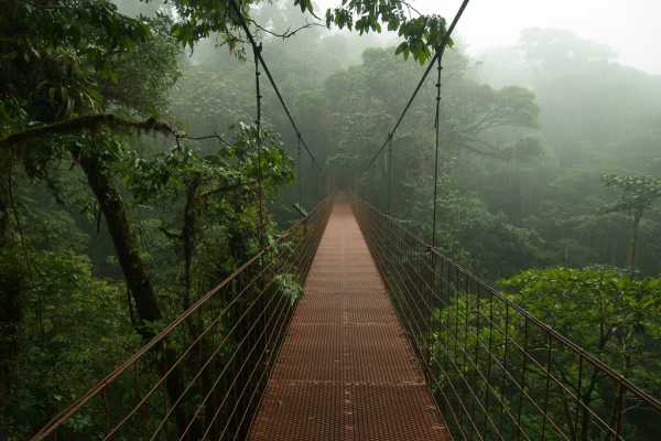 Mistico Hanging Bridges Walk 