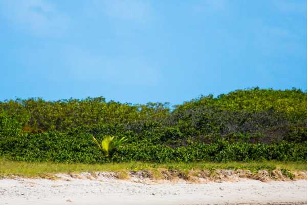 30ft Speedboat to Ad&atilde;o e Eva Beach and Morcego Beach