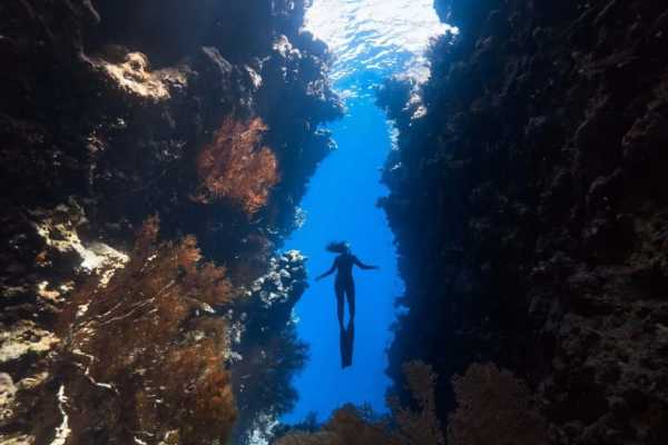 Freediving -PADI Freediver Course e-Learning