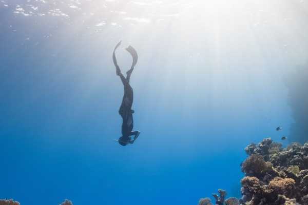 Freediving -PADI Freediver Course e-Learning
