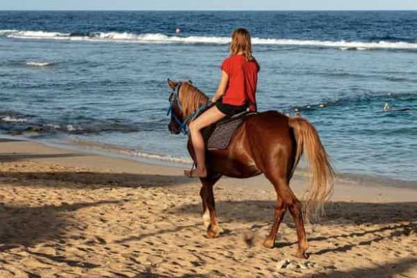 1 Hour desert Sunrise horse riding from Hurghada