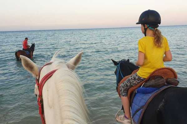 1 Hour desert Sunrise horse riding from Hurghada
