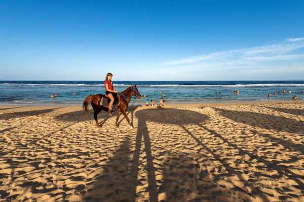 1 Hour desert Sunrise horse riding from Hurghada