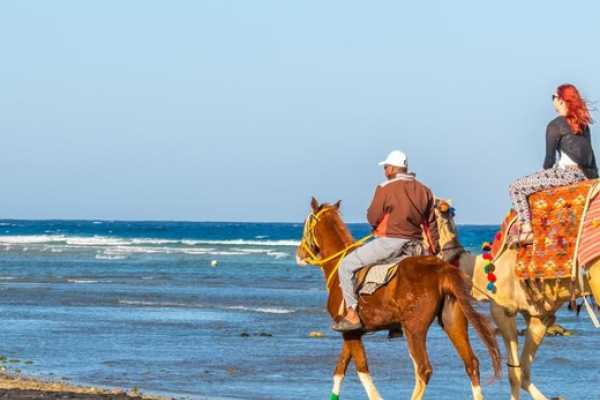 1 Hour desert Sunrise horse riding from Hurghada