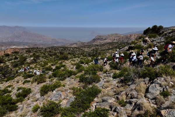 BALCONY WALK OF JEBEL SHAMS
