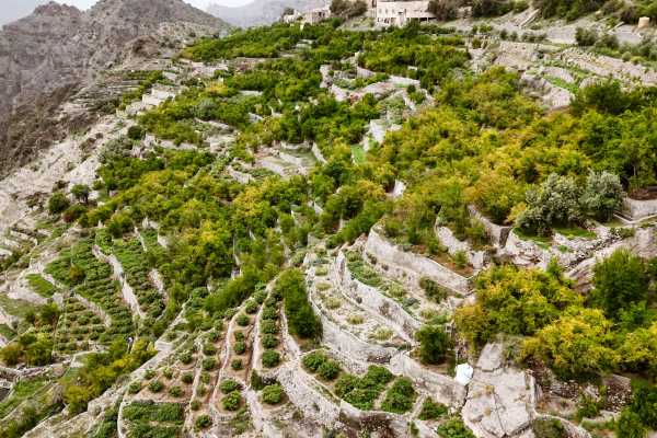 Jebel Akhdar & Nizwa