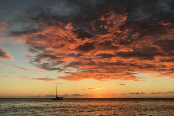 Private Glow Worm, Sunset & Stargazing Cruise