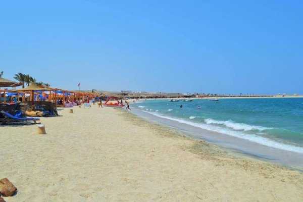 Find the Dugong in Marsa Alam by Speed Boat
