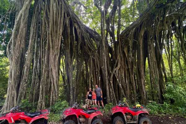 Tamarindo Mountain ATV and Zipline 