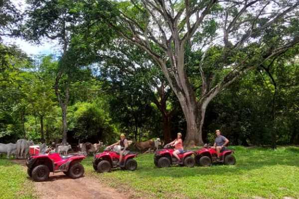 Tamarindo Mountain ATV and Zipline 