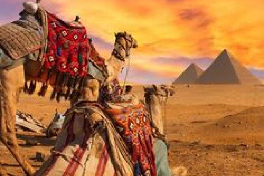 Bastet Travel Egypt Day Trip to Pyramids from Cairo