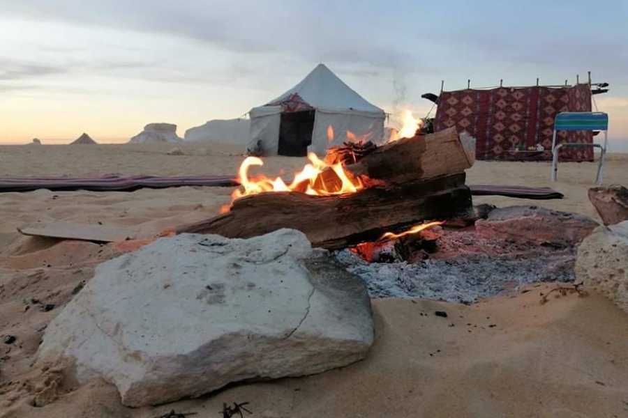 Marsa alam tours 3 Day tour to the White Desert and Luxor from Cairo