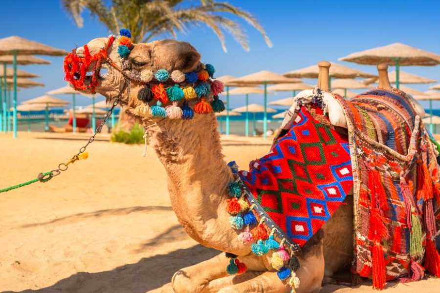 Egypt Tour packages 10-Day Egypt Tour: Cairo, Nile Cruise (Luxor/Aswan) & Hurghada Beach