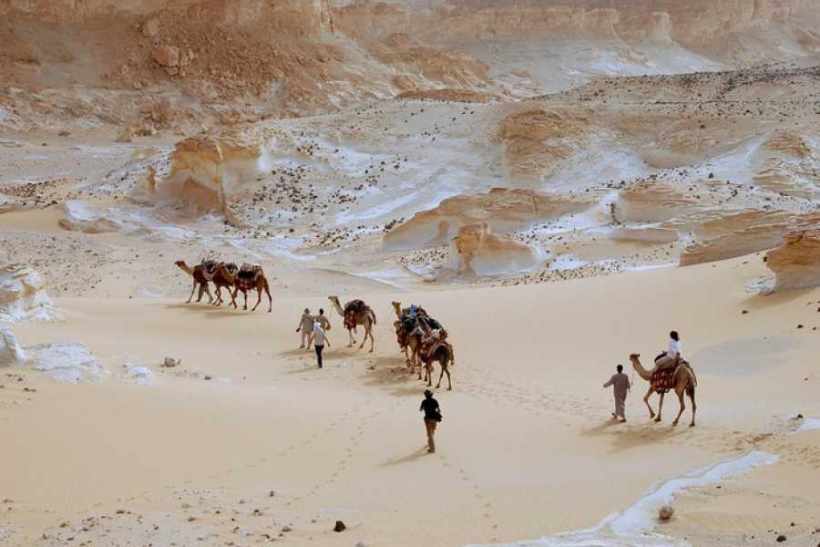 Tours to Egypt 3 Day tour to the White Desert and Luxor from Cairo