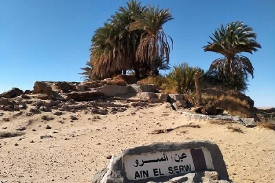 Tours to Egypt 3 Day tour to the White Desert and Luxor from Cairo