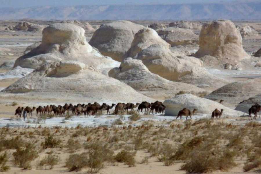 Tours to Egypt 3 Day tour to the White Desert and Luxor from Cairo