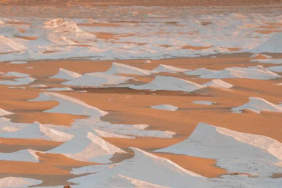Tours to Egypt 3 Day tour to the White Desert and Luxor from Cairo