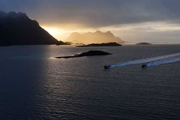 RIB & Floating Sea Eagle Adventure