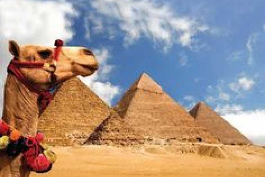 Bastet Travel Egypt Pharaohs Adventure for Teens