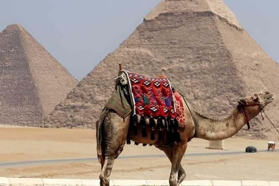 Bastet Travel Egypt Pharaohs and Beaches &ndash; 13 Days