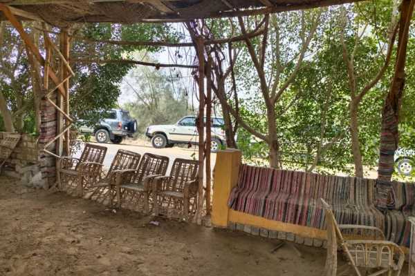 2 Day Camping Trip to wadi el Hitan and Fayoum oasis from Cairo