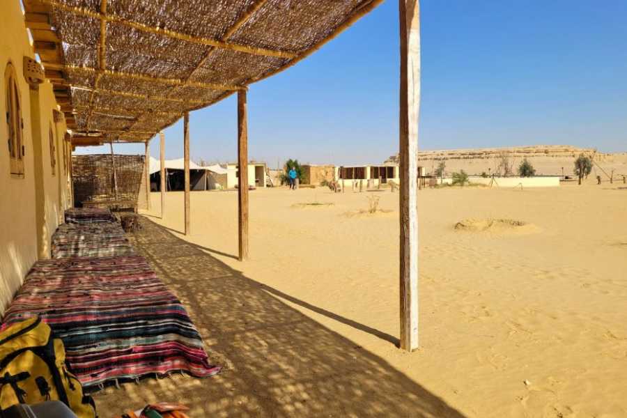 Egypt Tour packages 2-dages campingtur til Wadi El Hitan og Fayoum-oasen fra Kairo