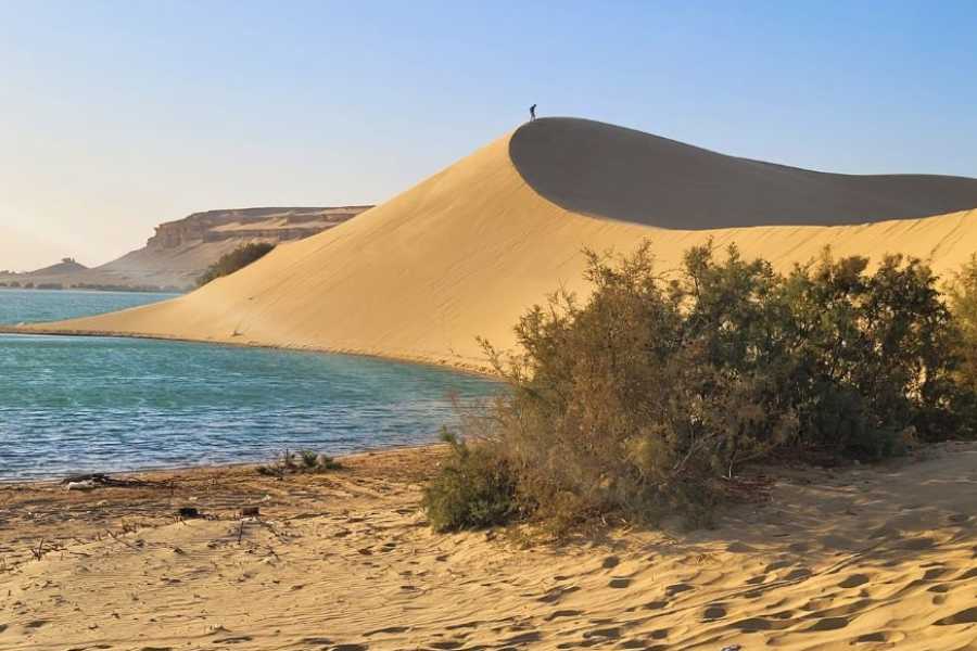 Egypt Tour packages 2-dages campingtur til Wadi El Hitan og Fayoum-oasen fra Kairo