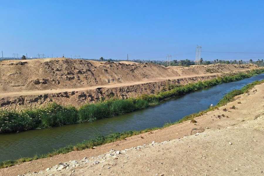 Egypt Tour packages 2-dages campingtur til Wadi El Hitan og Fayoum-oasen fra Kairo