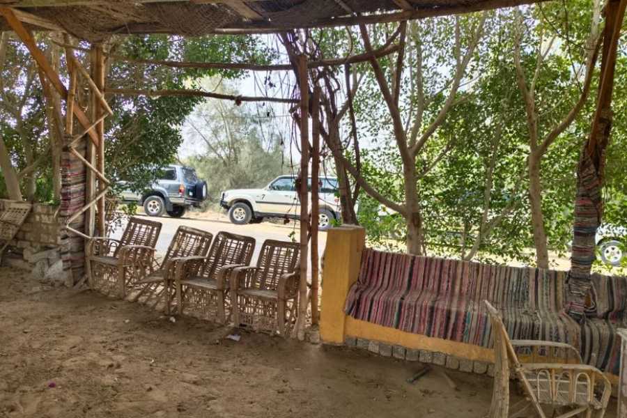 Egypt Tour packages 2-dages campingtur til Wadi El Hitan og Fayoum-oasen fra Kairo