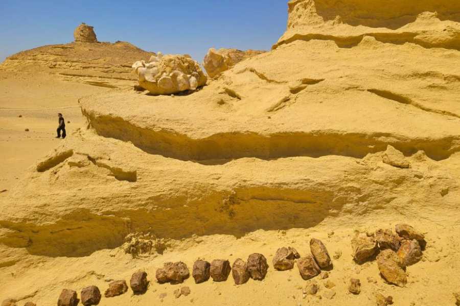 Egypt Tour packages 2-dages campingtur til Wadi El Hitan og Fayoum-oasen fra Kairo