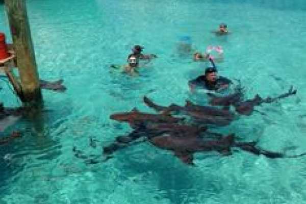 Egypt Family Holiday - Fun and Discovery