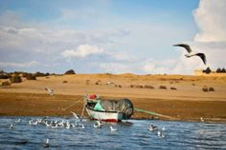 Bastet Travel Egypt Day tour to Fayoum Oasis and Wadi Rayan from Cairo