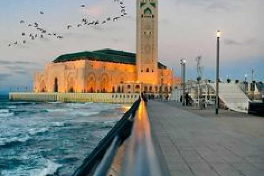 Bastet Travel Egypt Full day Alexandria Tour from Cairo
