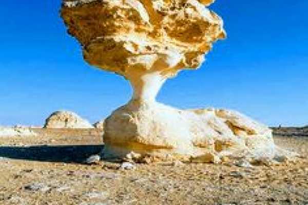 2 Nights Baharia and White Desert Camping tour