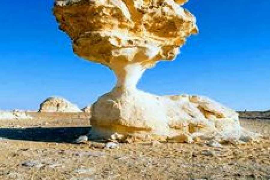 Bastet Travel Egypt 2 Nights Baharia and White Desert Camping tour