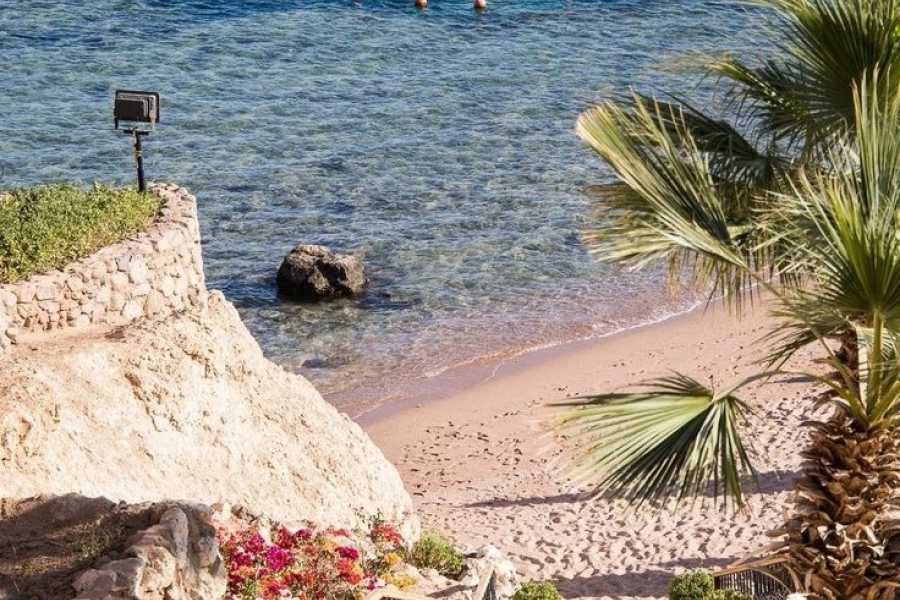 Bastet Travel Egypt Egypt Romantic HoneyMoon Vacation