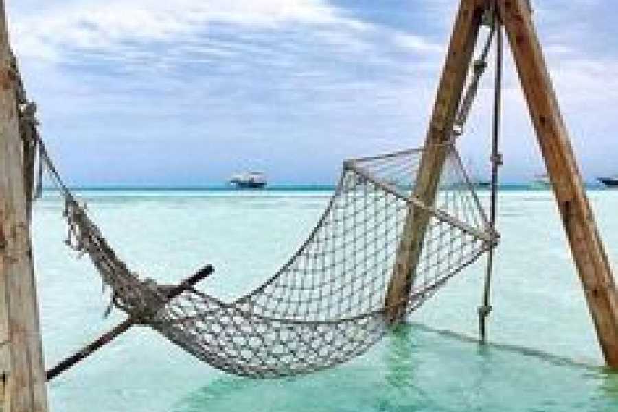 Bastet Travel Egypt Main Attractions Of Cairo Two Days marsa Alam