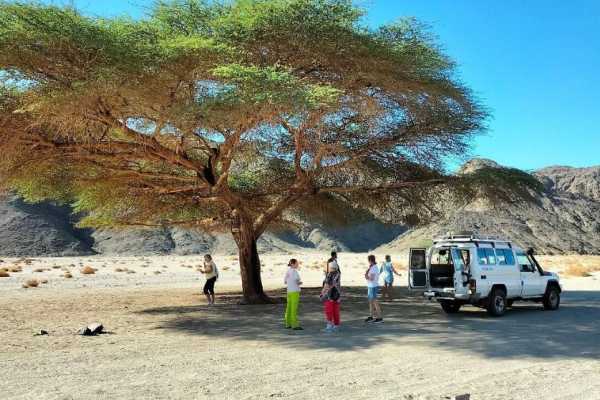 8 Days Excursions in Marsa Alam