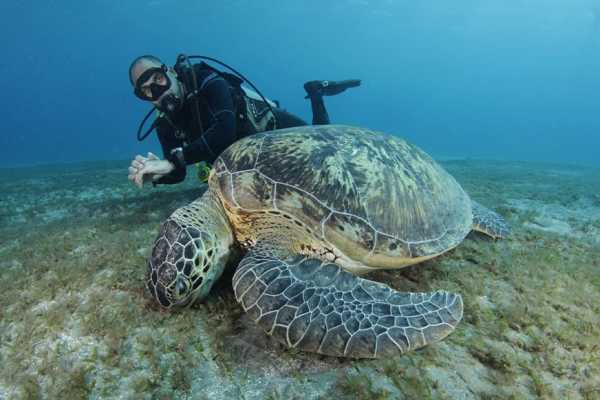 8 Days Excursions in Marsa Alam