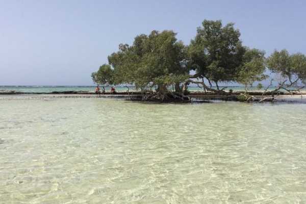 8 Days Excursions in Marsa Alam