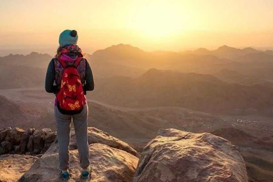 Bastet Travel Egypt Egypt Holy Land Travel Package