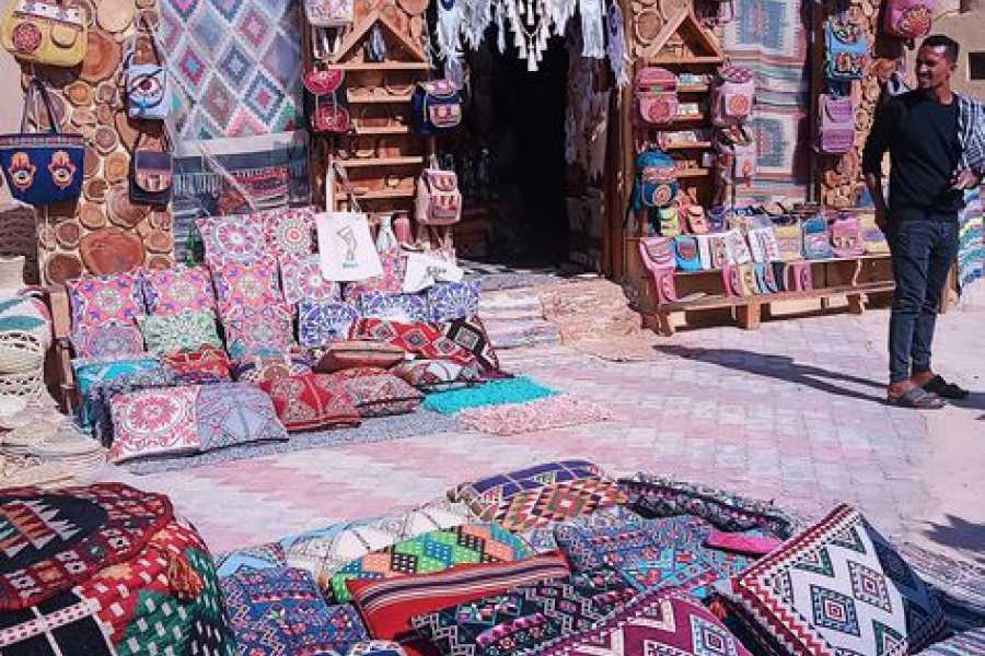 Bastet Travel Egypt El Fayoum DayTour from Cairo