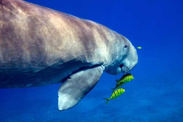 8 Days Tour Package in Marsa Alam with Activities