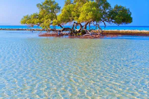 8 Days Tour Package in Marsa Alam with Activities