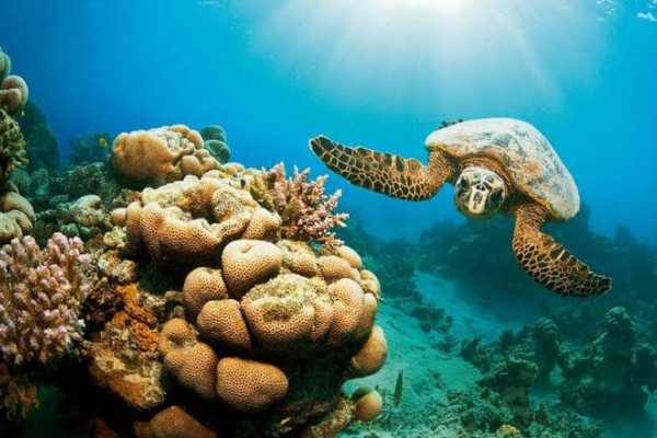 8 Days Tour Package in Marsa Alam with Activities