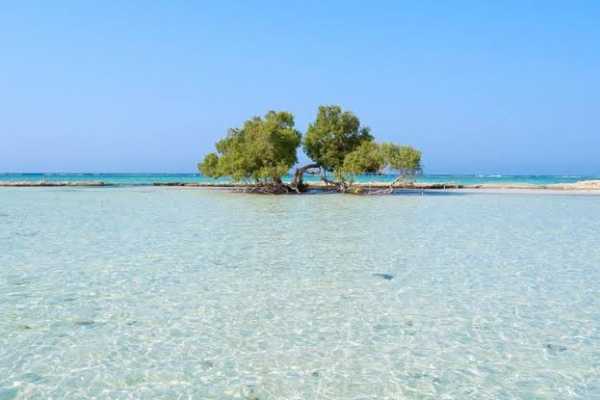 8 Days Tour Package in Marsa Alam with Activities