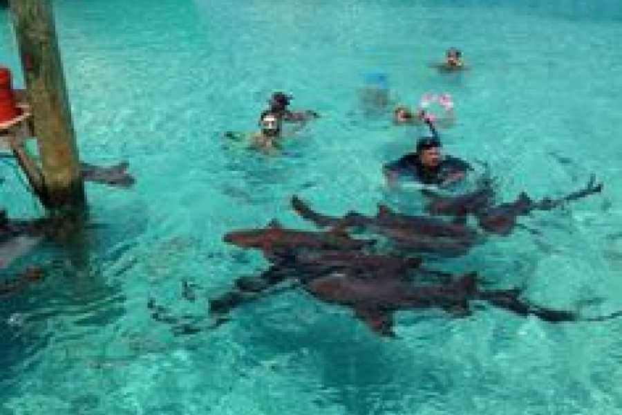 Bastet Travel Egypt 2 Days Trip to Cairo from Hurghada by Road